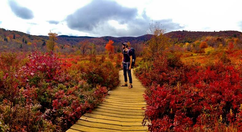 Seasonal Photographs of Graveyard Fields and Waterfalls