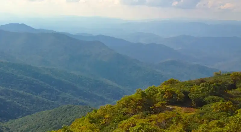 How to Run a Drupal Site on a Low-End Host like Hostmonster or Bluehost