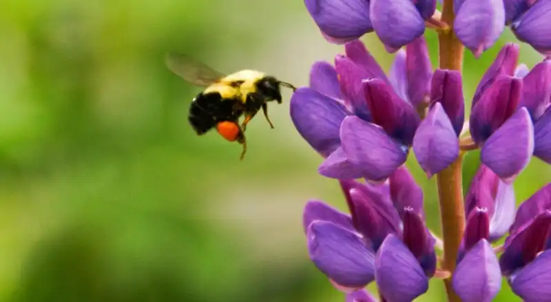 Marketing Buzzwords of 2015 That Drove Us Crazy