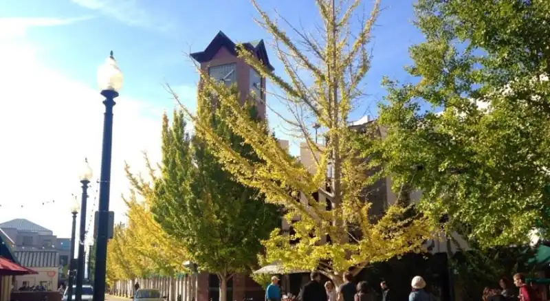 7 Best Methods to Advertise a Travel Destination